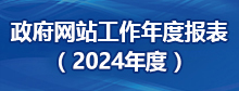 政府网站工作年报